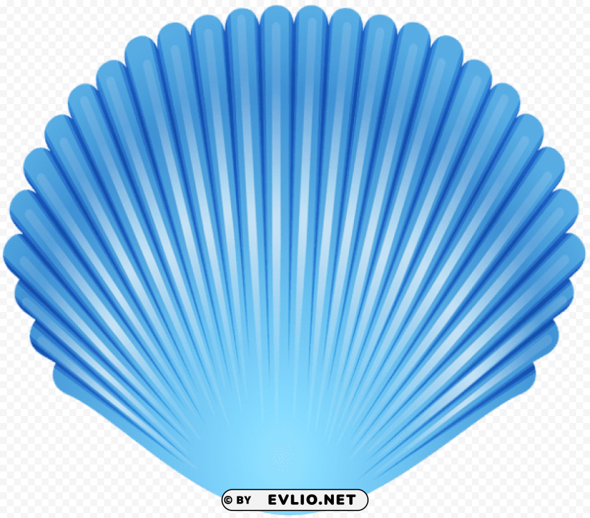 blue seashell PNG transparent photos library