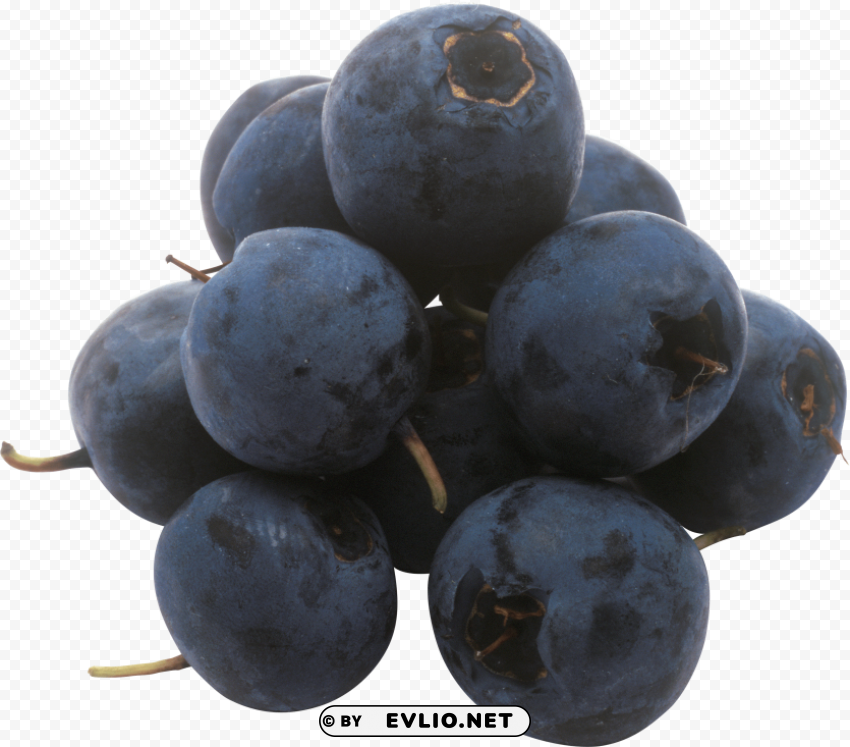 blueberries PNG Image Isolated with HighQuality Clarity