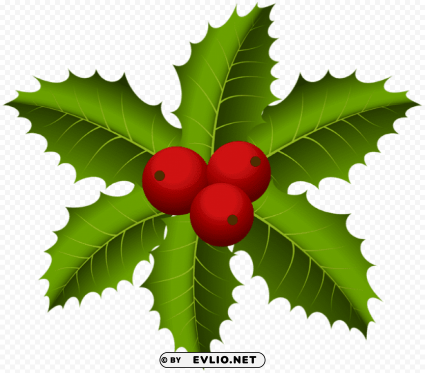 christmas mistletoe Transparent PNG graphics archive