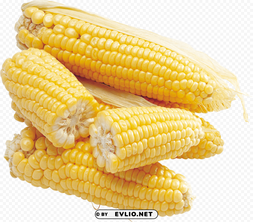 corn Transparent PNG Isolated Subject