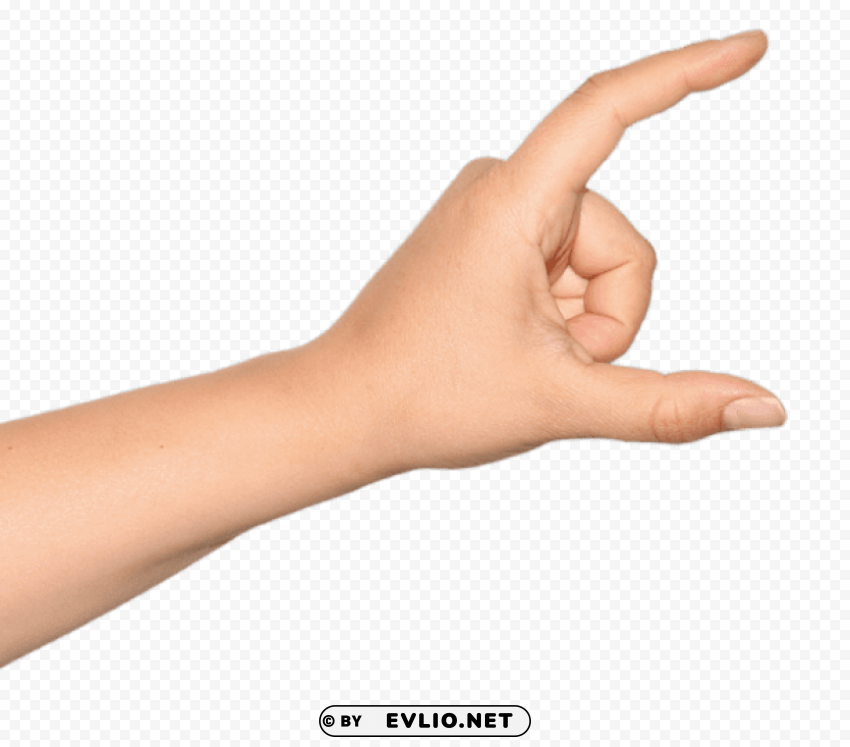 Hand PNG With Transparent Backdrop