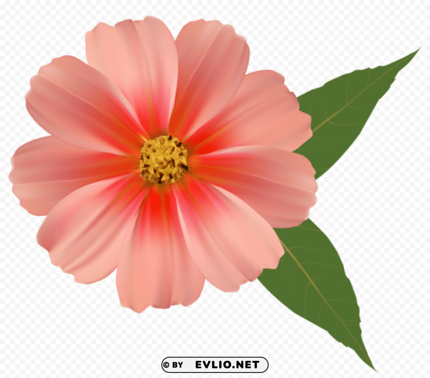 PNG image of orange flower PNG Isolated Illustration with Clear Background with a clear background - Image ID 0db53c71