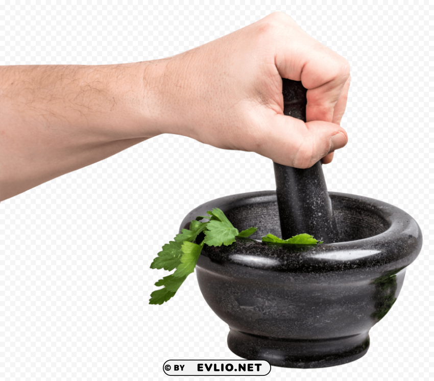 Parsley In Bowl Isolated Graphic With Clear Background PNG