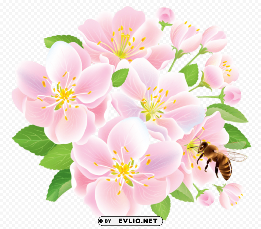 pink spring flowers with bee PNG Image with Clear Background Isolation
