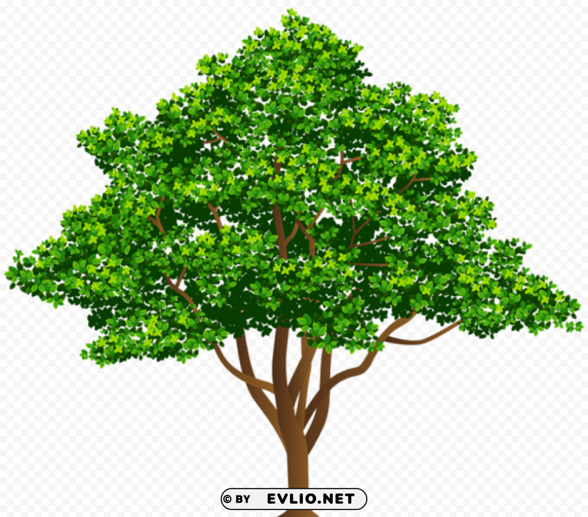 tree free Transparent PNG graphics bulk assortment