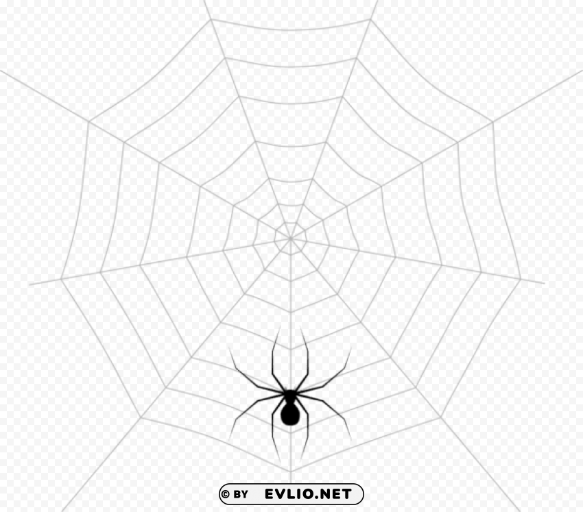 Web And Spider PNG With Isolated Object