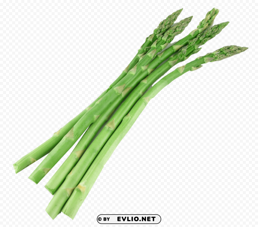 asparagus Isolated Subject in Transparent PNG Format