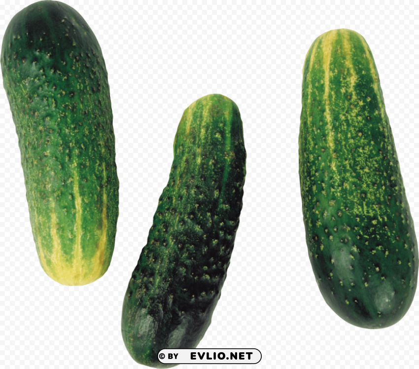 cucumber Clean Background Isolated PNG Graphic