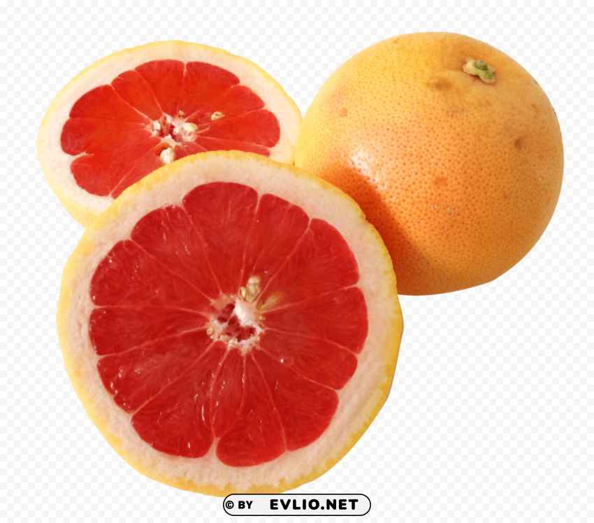 grapefruit PNG transparent design bundle