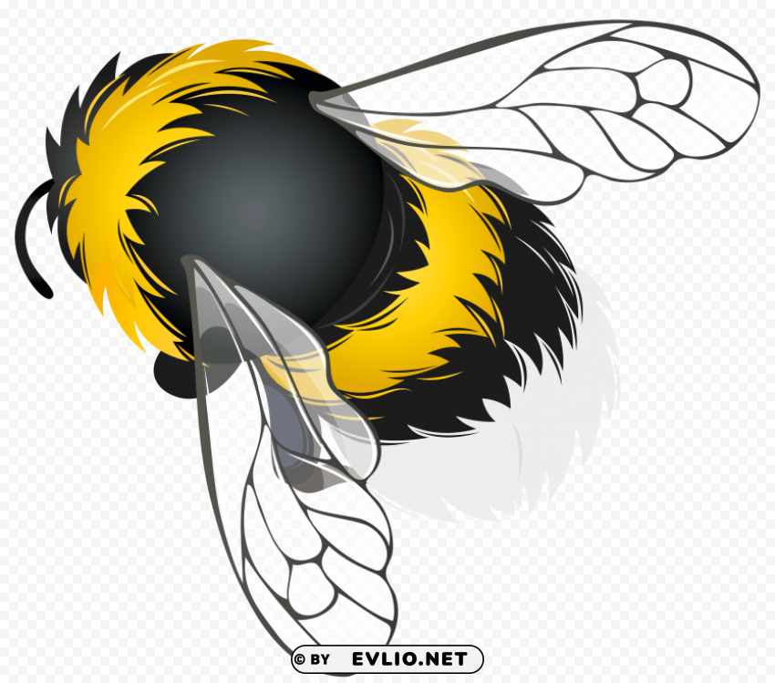 bee PNG Graphic Isolated on Clear Background clipart png photo - 8a6707bb