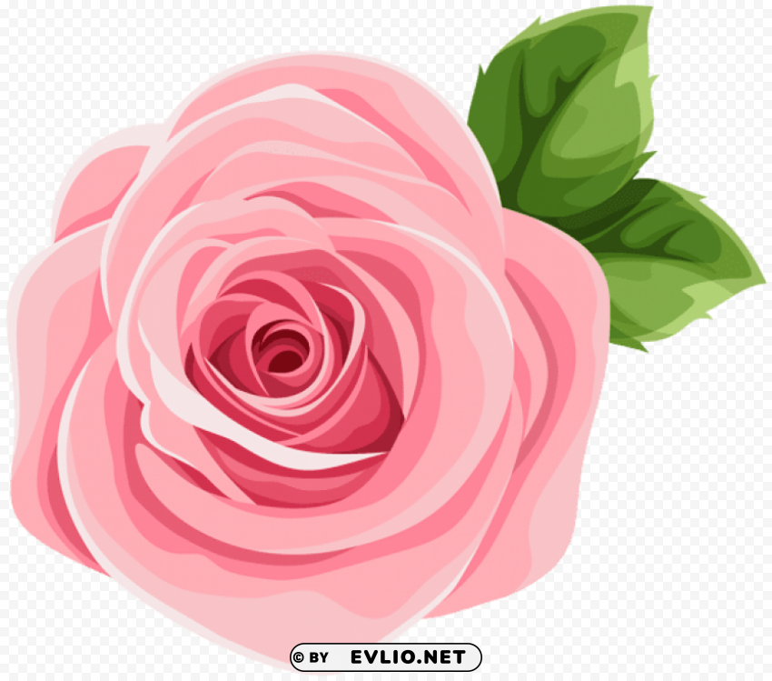 deco pink rose Isolated Subject on Clear Background PNG