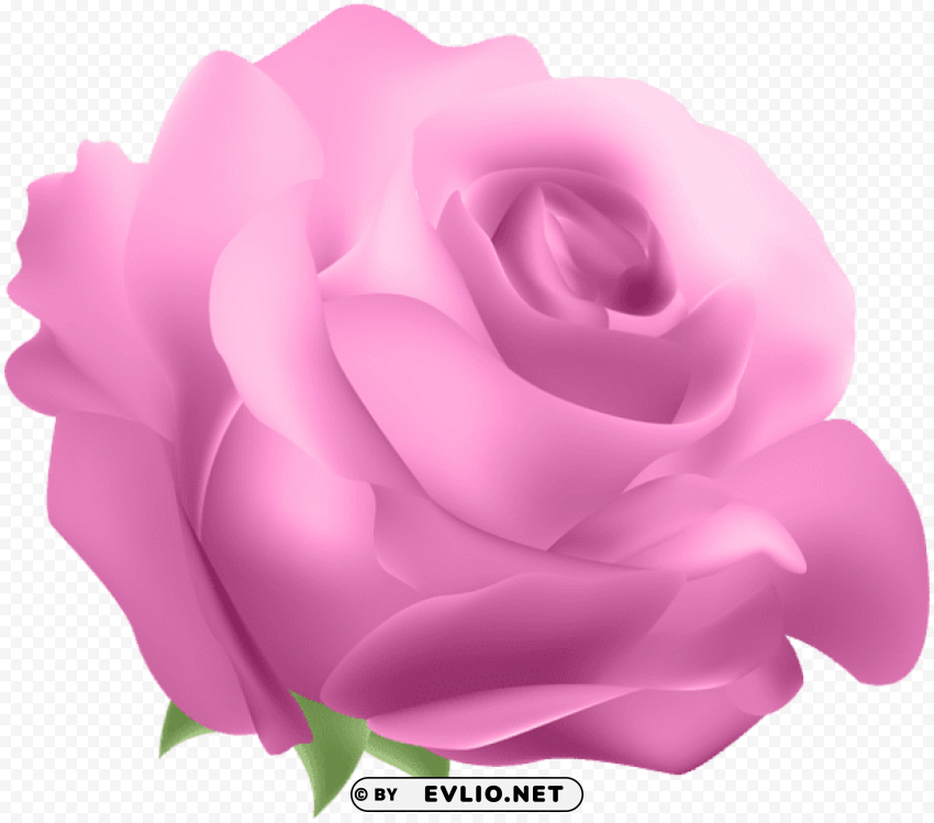 PNG image of deco rose pink PNG transparent backgrounds with a clear background - Image ID 73f984bb