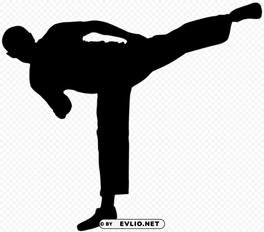 karate master silhouette PNG with no cost