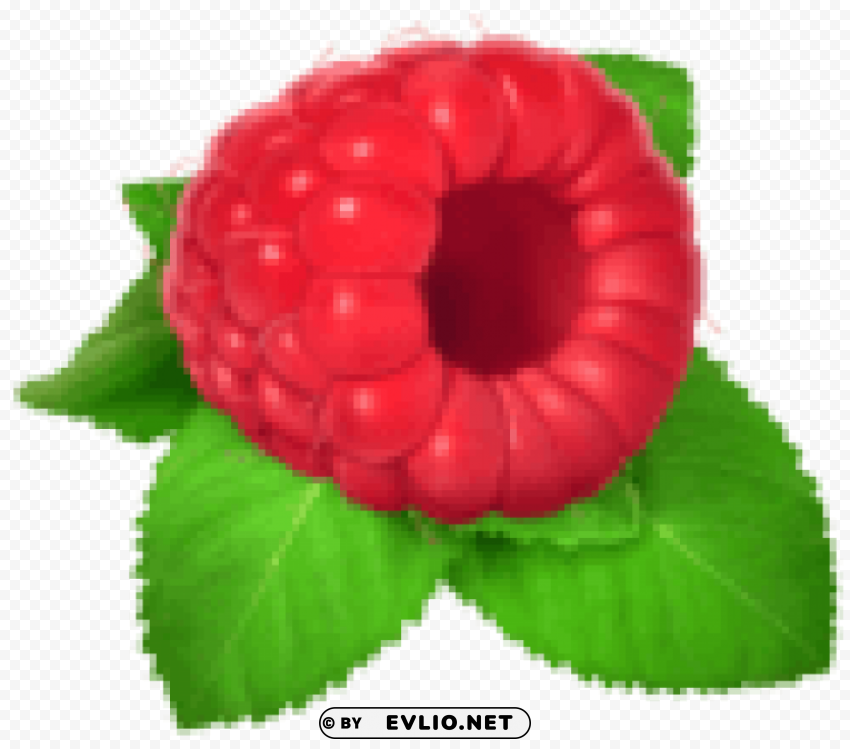 raspberry Isolated Design Element in PNG Format