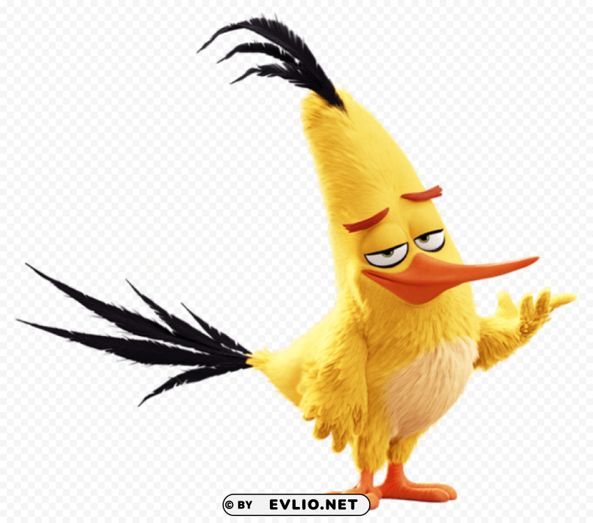 the angry birds movie chuck PNG images for merchandise