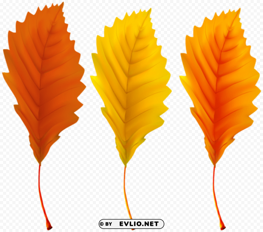 autumn leaves Transparent PNG Graphic with Isolated Object