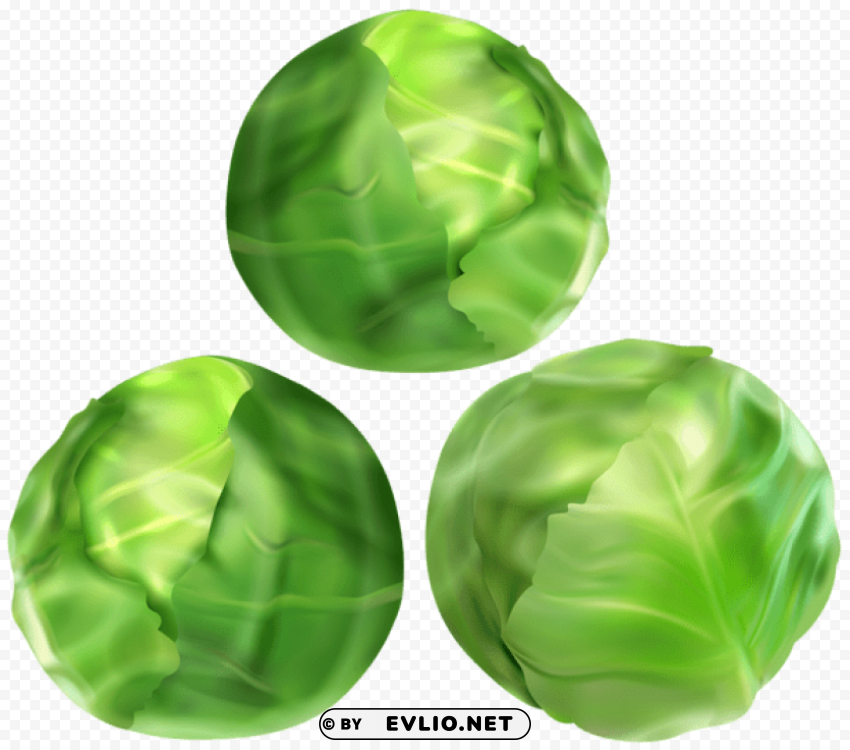 brussels sprouts PNG Object Isolated with Transparency