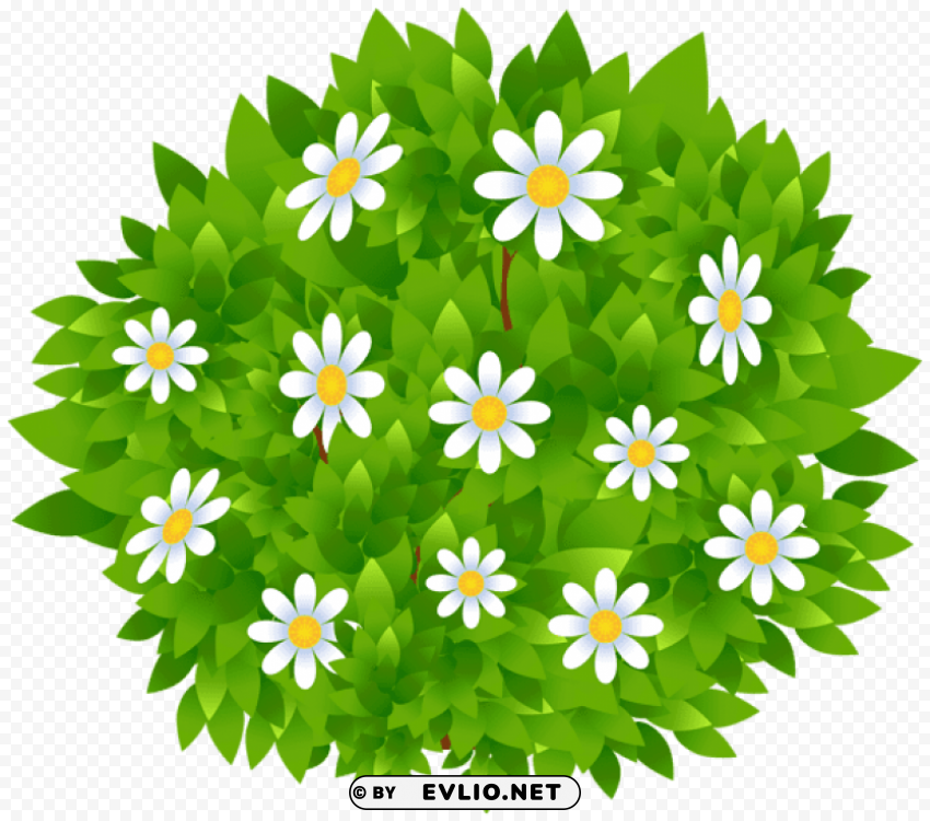 flowers bush Isolated Subject in Transparent PNG