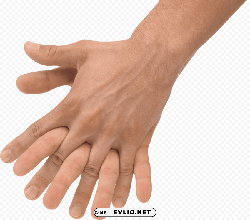 hands PNG files with clear background variety
