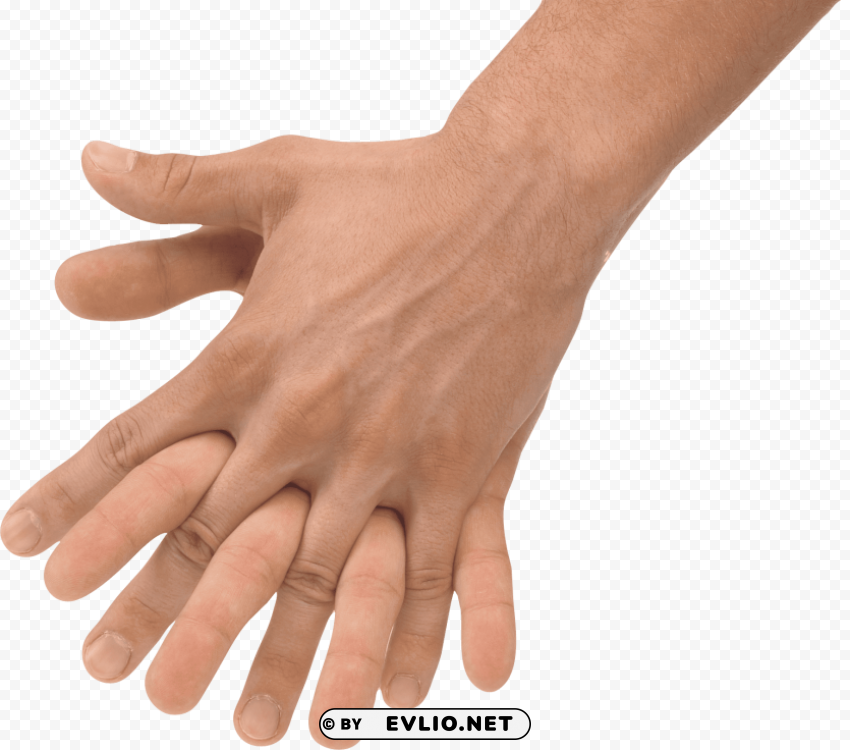 Hands PNG Files With Clear Background Variety