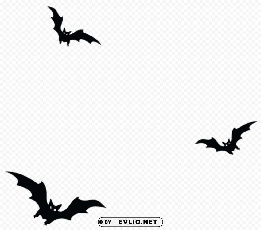 haunted bats vector PNG with no background free download