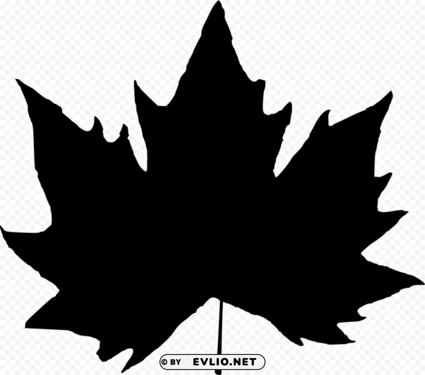 Leaf Silhouette Isolated Subject on HighResolution Transparent PNG