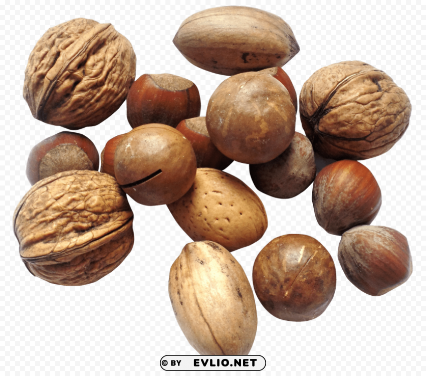 Nut PNG Transparency