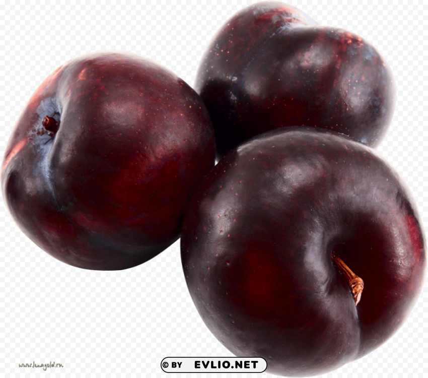 plum Isolated Graphic Element in HighResolution PNG