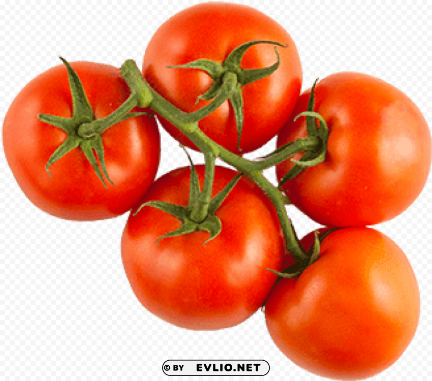 red vine tomatoes Transparent PNG Object Isolation