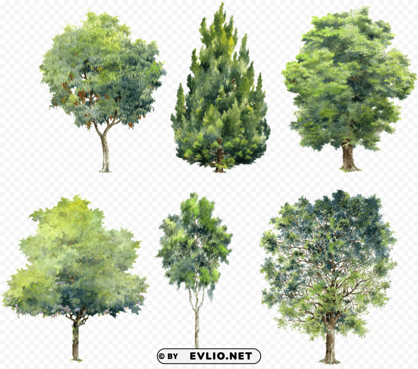 watercolor trees for photoshop HighQuality Transparent PNG Isolated Artwork
