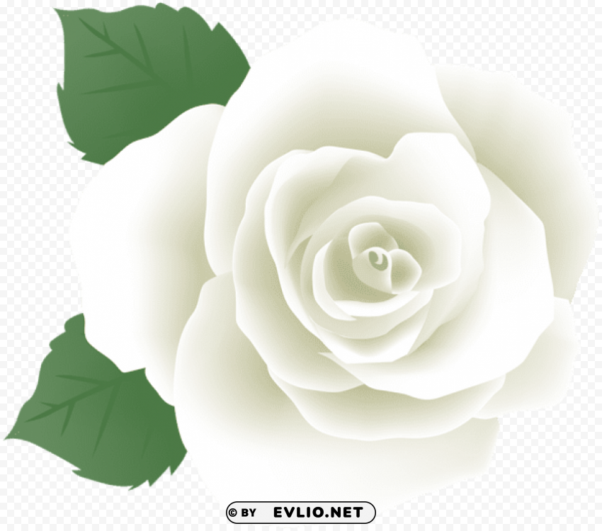 white rose deco PNG Isolated Subject on Transparent Background
