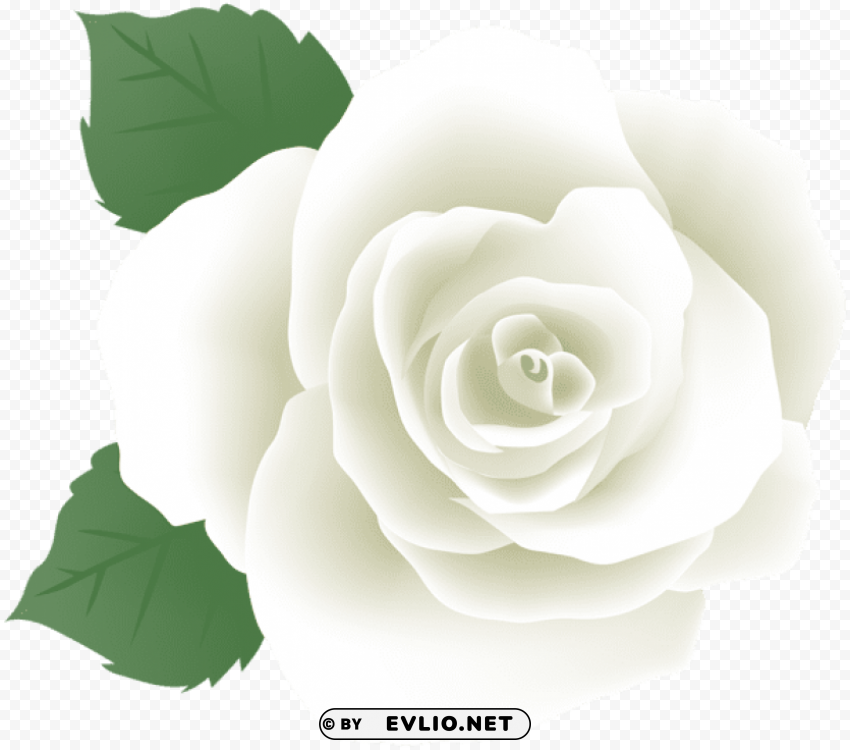 PNG image of white rose deco PNG Isolated Subject on Transparent Background with a clear background - Image ID a64af87c