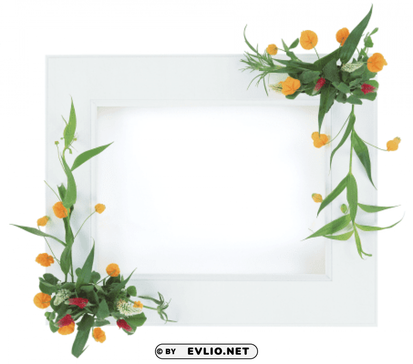 Photo Frame 139 PNG Images With Transparent Space