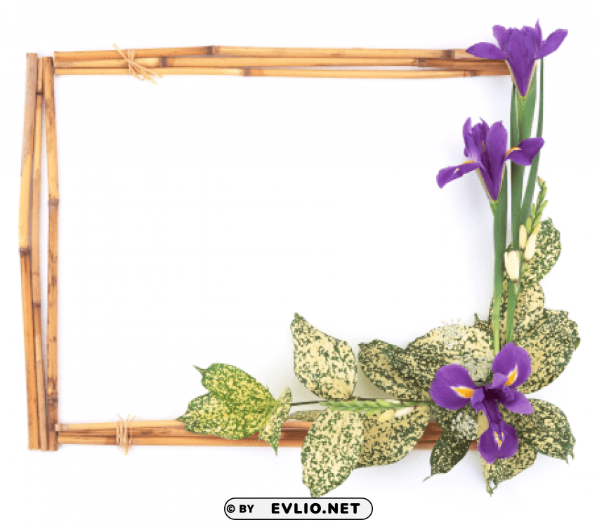 photo frame 259 PNG images with transparent layer