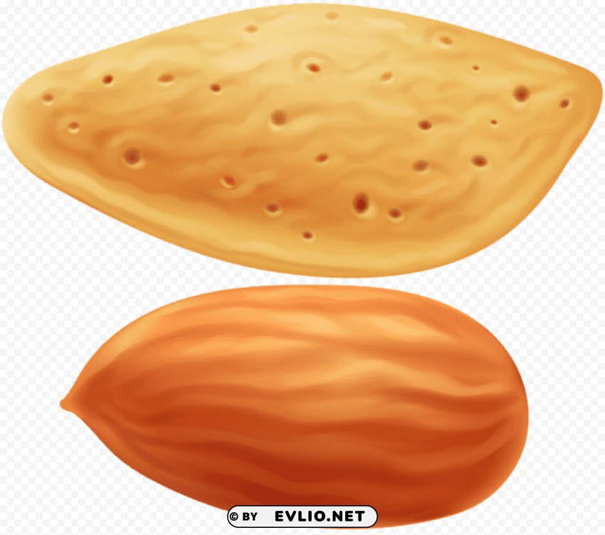 almond transparent PNG for web design