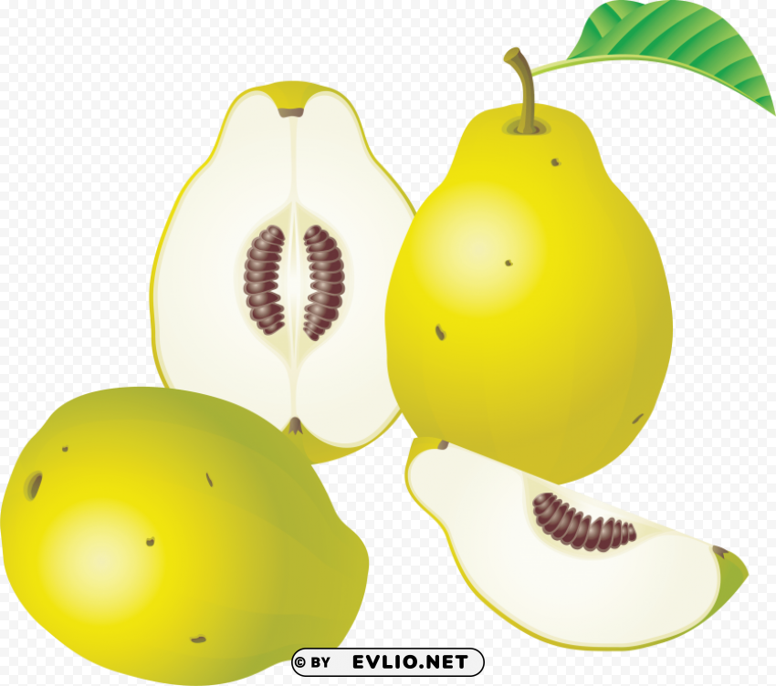 pear HighQuality Transparent PNG Isolated Object