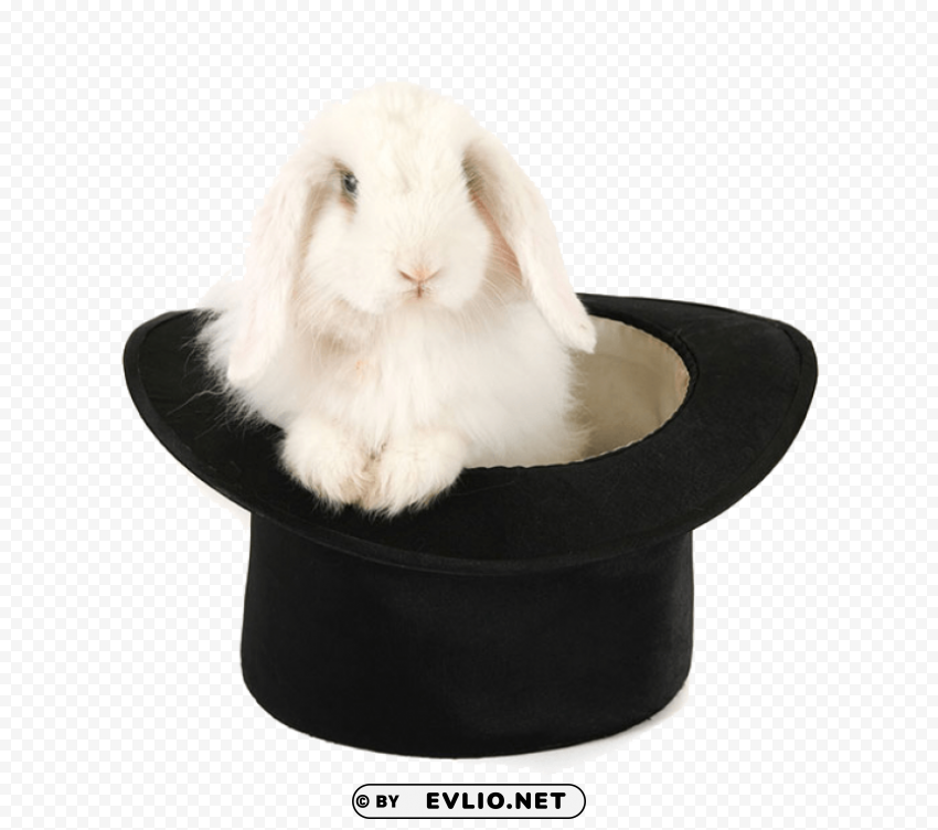 rabbit hat Transparent Background PNG Isolated Item png - Free PNG Images ID 8a13c9dc