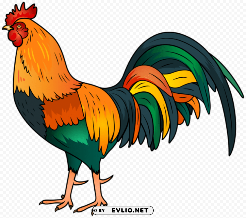 rooster Free PNG images with transparency collection