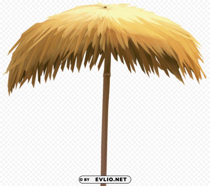 Straw Beach Umbrella ClearCut Background Isolated PNG Art