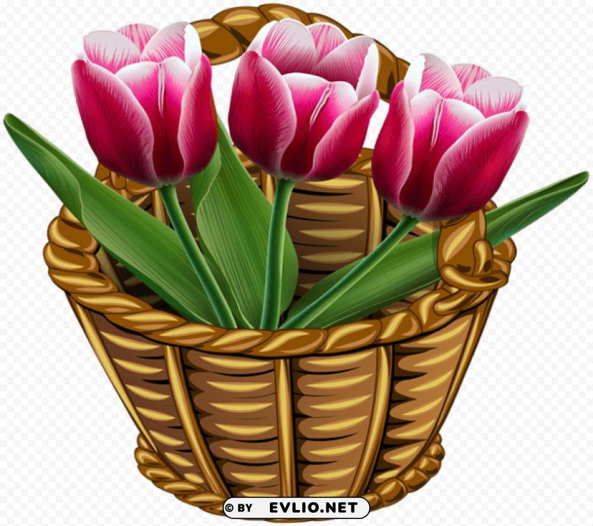 Basket With Tulips Transparent Background PNG Artworks