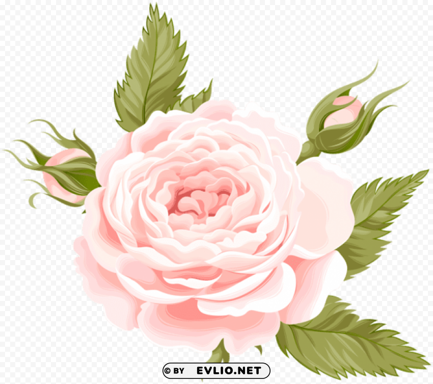 rose deco Isolated PNG Object with Clear Background