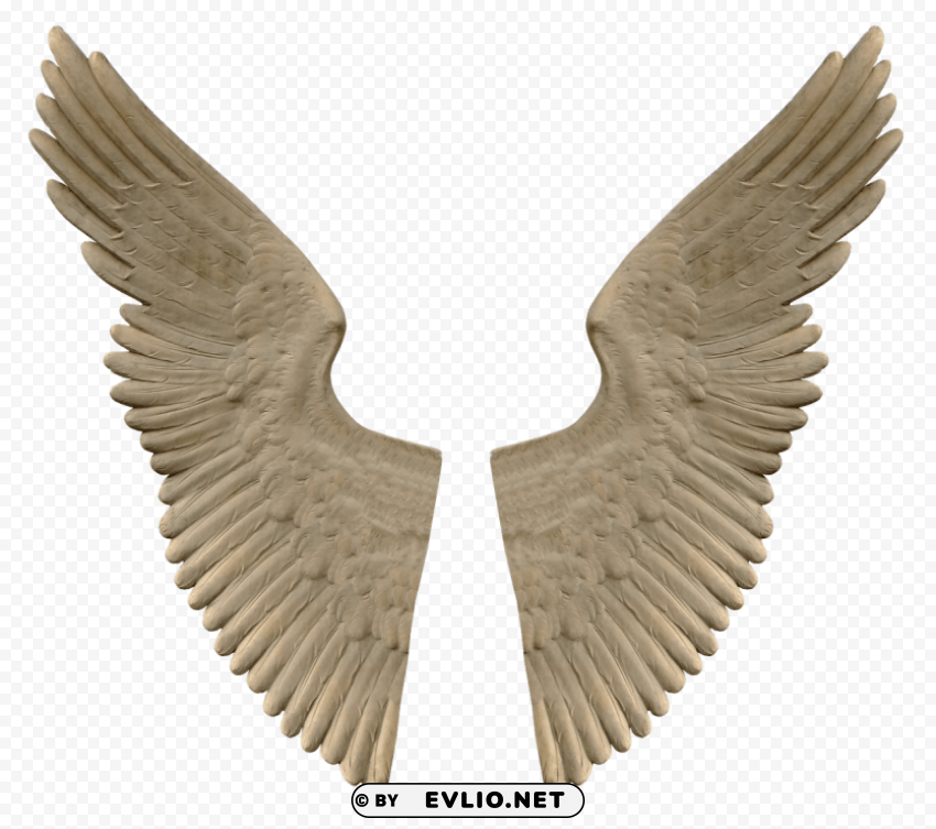 stone angel wings PNG with transparent backdrop PNG transparent with Clear Background ID 75901e1f