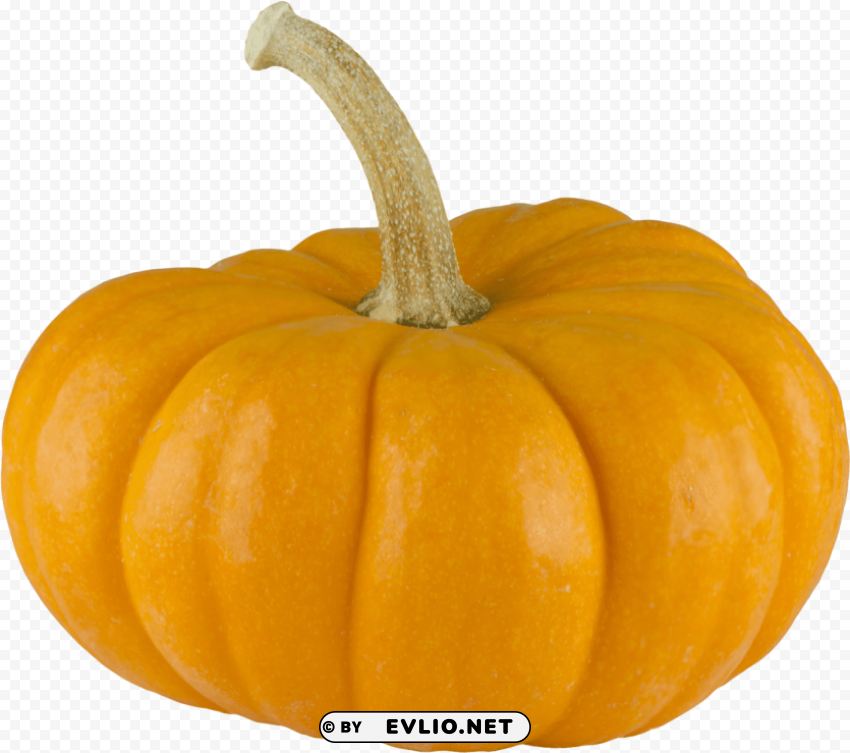  background pumpkin Isolated Element in Transparent PNG
