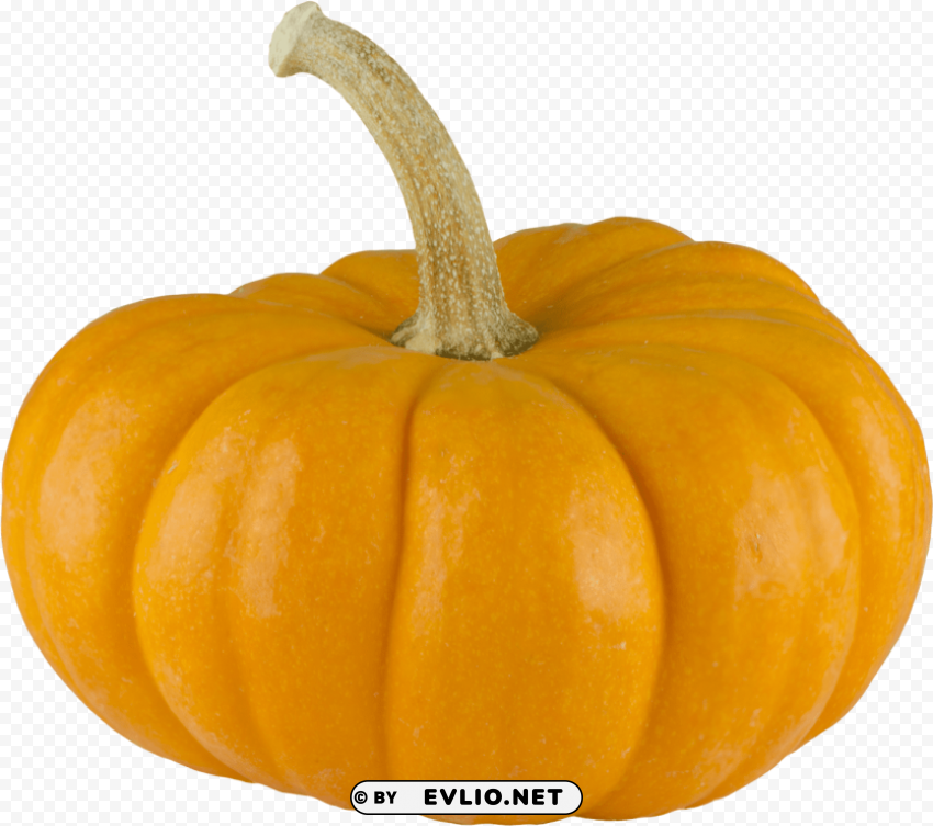  background pumpkin Isolated Element in Transparent PNG PNG transparent with Clear Background ID 38b8639b