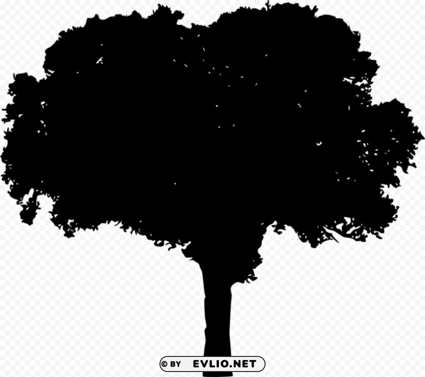 tree silhouette HighQuality PNG Isolated Illustration