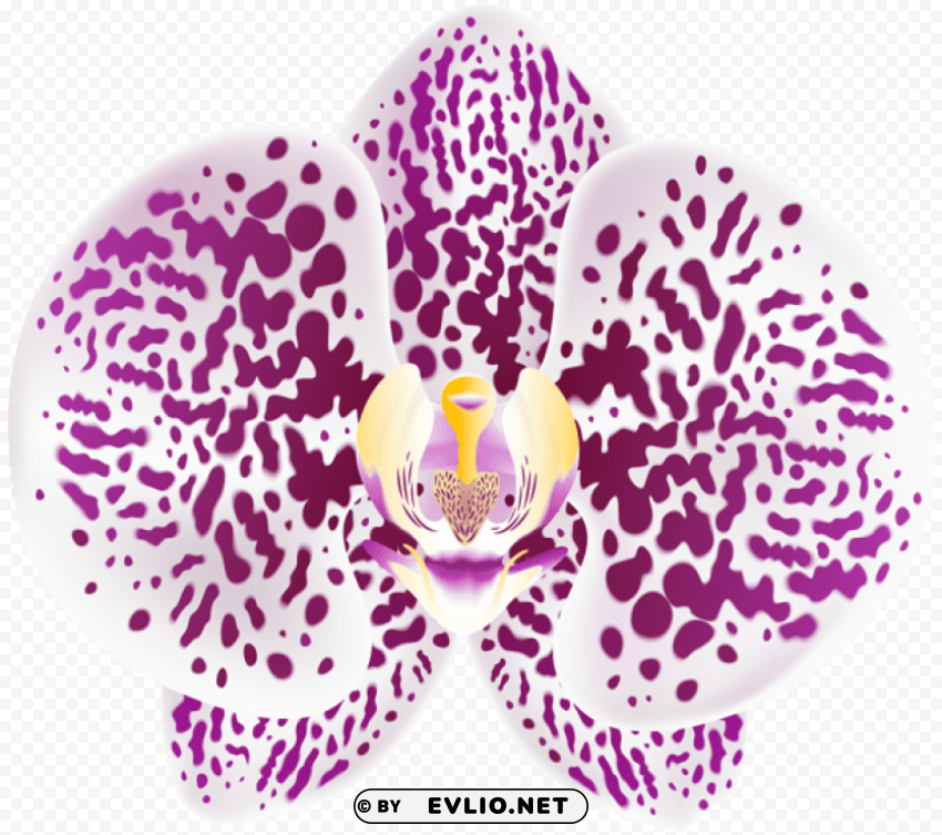 tropical orchid Transparent Background Isolated PNG Design Element