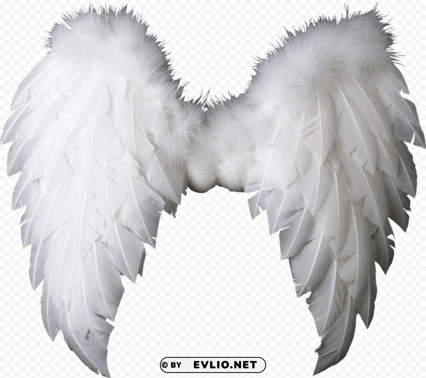 white wings High-definition transparent PNG