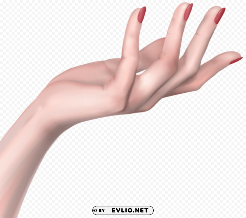 woman hand PNG Image with Clear Isolated Object