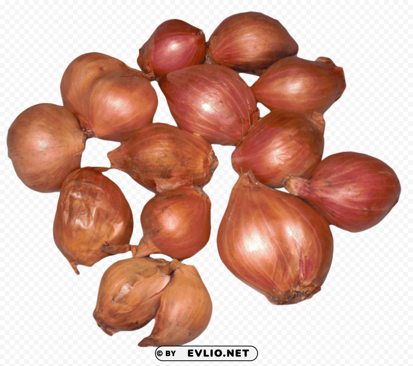 onion shallots High-resolution transparent PNG images comprehensive assortment