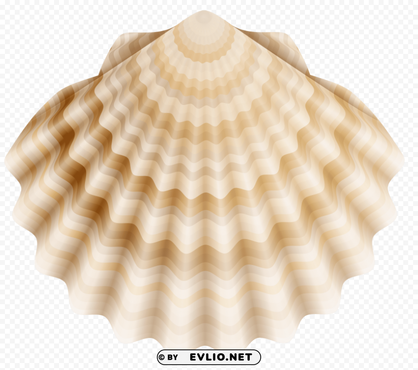 realistic shell Transparent PNG Object with Isolation clipart png photo - b6f98b36